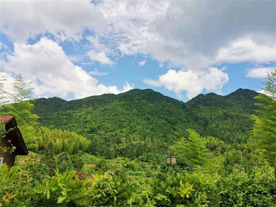 永安天宝岩自然保护区图片