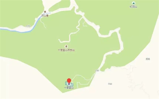 打卡「漳州十里蓝山」!